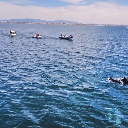 Villa Krabi By Algarve Vacation Albufeira