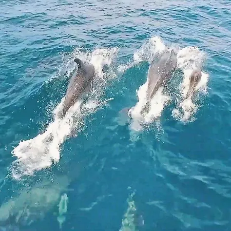 Krabi By Algarve Vacation * 阿尔布费拉